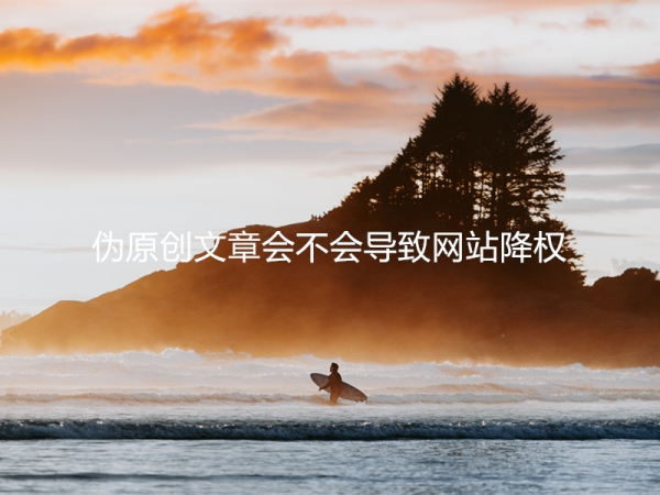 偽原創(chuàng)文章會不會導致網站降權