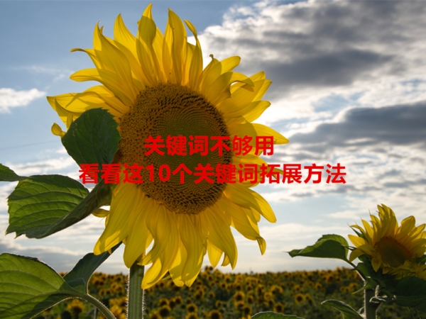 關鍵詞不夠用，看看這10個關鍵詞拓展方法！