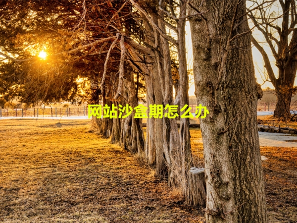 網(wǎng)站沙盒期怎么辦？