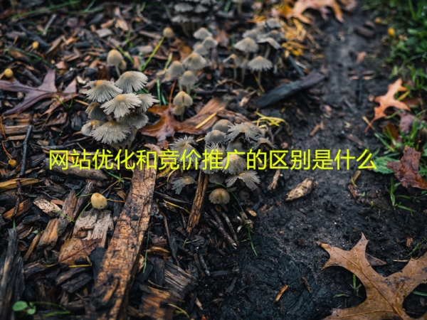 網站優(yōu)化和競價推廣的區(qū)別是什么